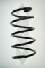 SPIDAN 56920 Coil Spring
